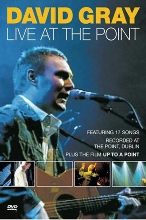 Movie poster for David Gray: Live at the Point (2001)