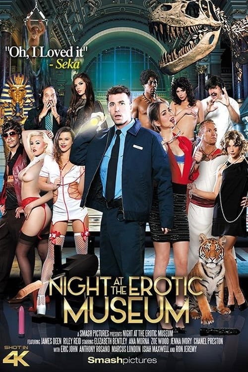 Movie poster for Night at the Erotic Museum (2015)