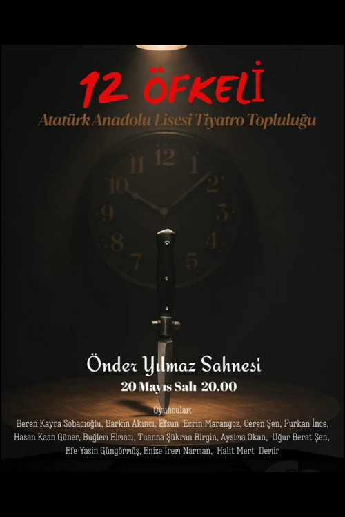 Movie poster for 12 Kızgın (2025)