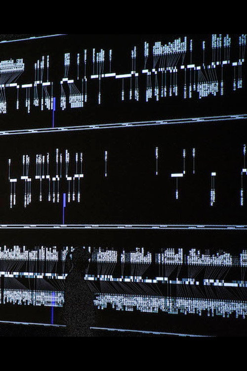 Movie poster for data-verse 2 (2019)