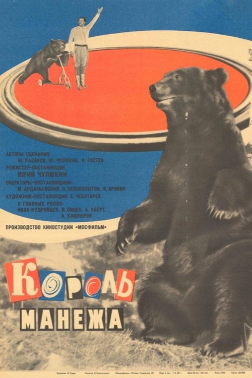 Movie poster for King of the Arena (1972)