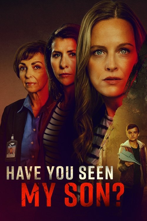 Movie poster for Have You Seen My Son? (2024)