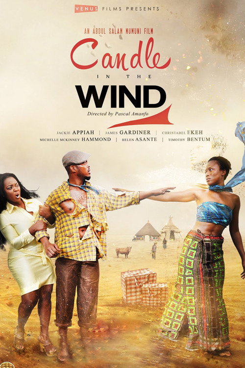 Movie poster for Candle in the Wind (2015)