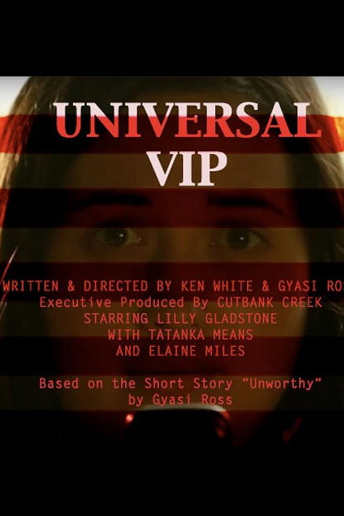 Movie poster for Universal VIP (2012)