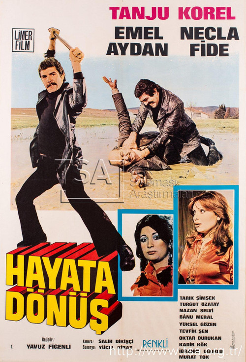Movie poster for Hayata Dönüş (1977)