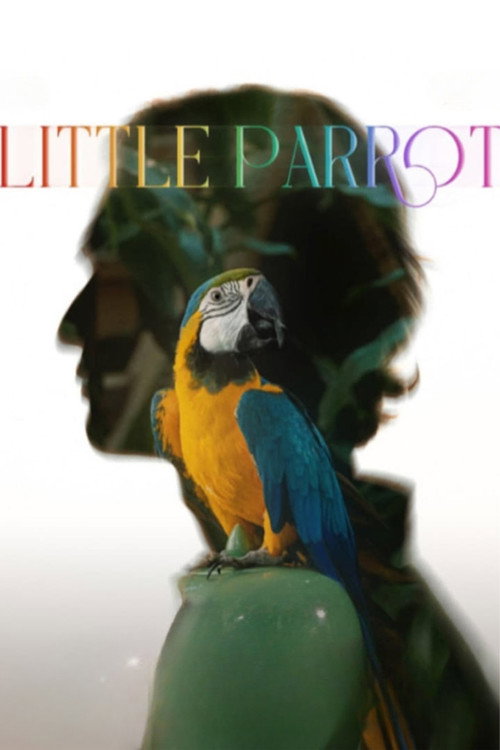 Movie poster for Little Parrot (2022)