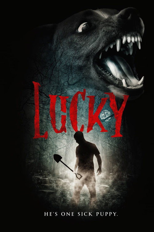 Movie poster for Lucky (2004)
