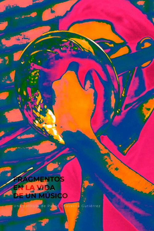 Movie poster for Fragments in a Musician's Life (2020)