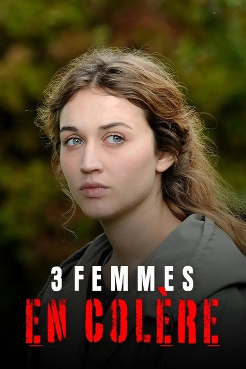 Movie poster for 3 femmes en colère (2013)