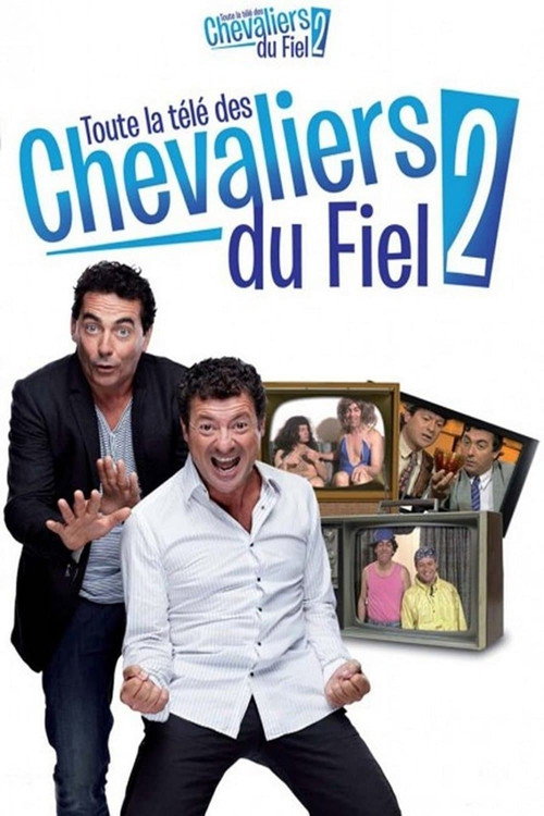 Movie poster for Toute la télé des Chevaliers du Fiel 2 (2013)