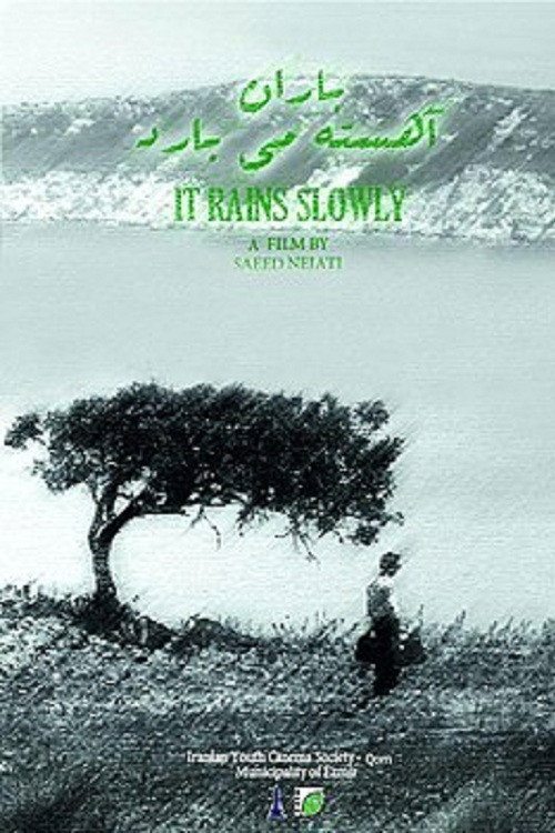 Movie poster for It Rains Slowly (2017)