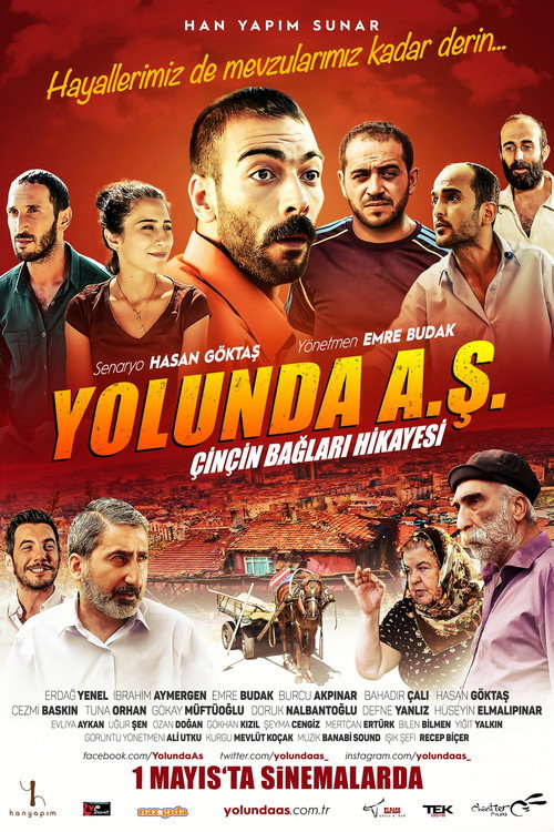 Movie poster for Yolunda A.Ş. Çinçin Bağları Hikayesi (2015)