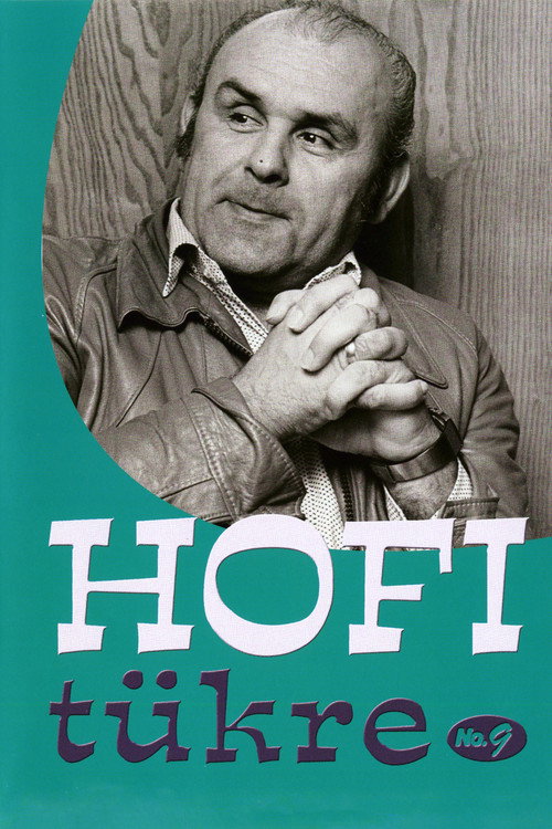 Movie poster for Hofi tükre No.9 (2011)