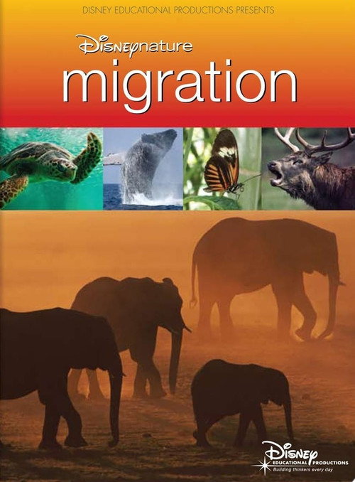 Movie poster for Disneynature: Migration (2009)