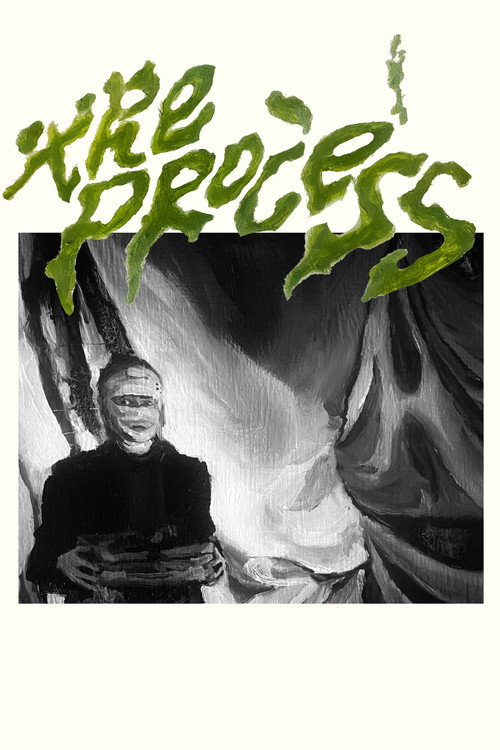 Movie poster for The Process