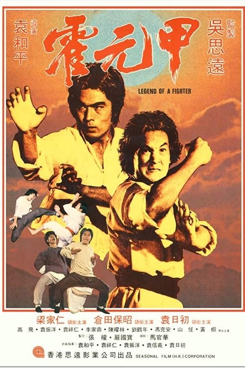 Movie poster for Legend of a Fighter (1982)