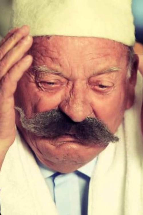 Photo of Albert Vërria, Acting