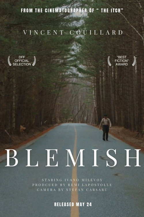 Movie poster for Blemish (2025)