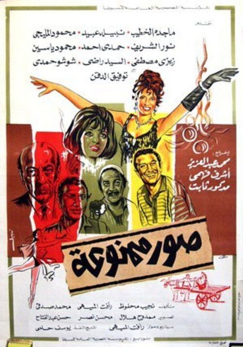 Movie poster for Forbidden Photos: Second Story (Can) (1971)