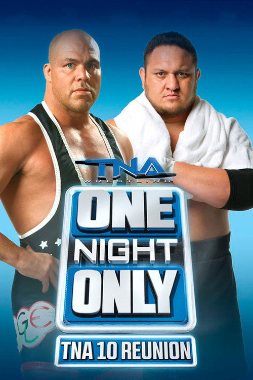 Movie poster for TNA One Night Only: 10 Reunion 2013 (2013)