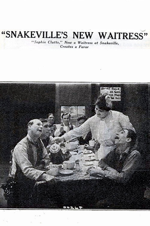 Movie poster for Snakeville's New Waitress (1914)
