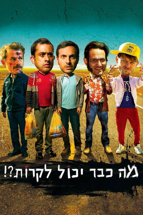 Movie poster for What Could Possibly Go Wrong? (2015)