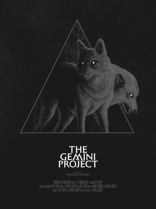Movie poster for The Gemini Project (2020)