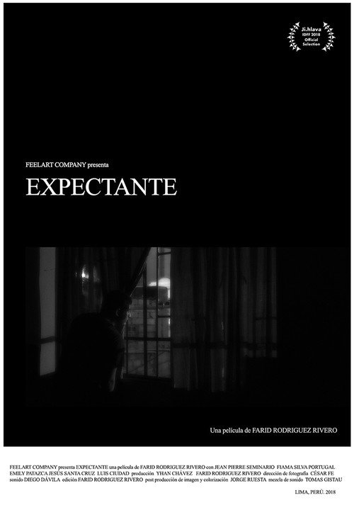 Movie poster for Expectant (2018)