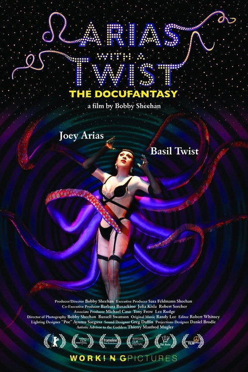 Movie poster for Arias With a Twist (2010)