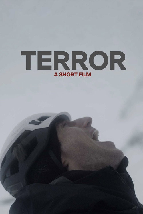 Movie poster for Terror (2023)