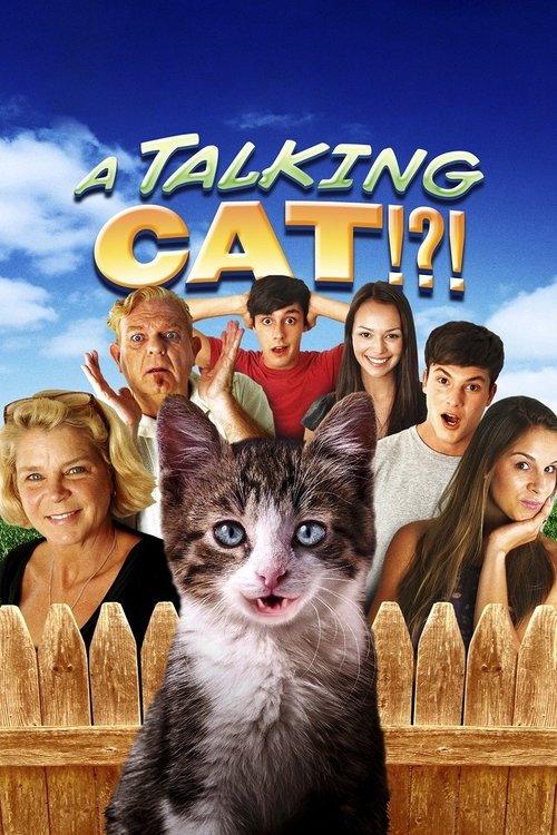 Movie poster for A Talking Cat!?! (2013)