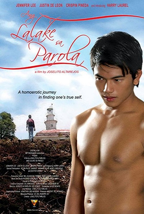 Movie poster for The Man in the Lighthouse (2007)