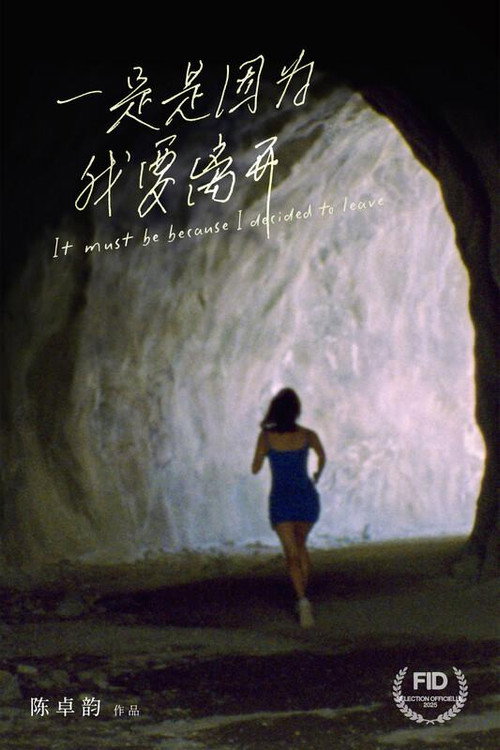 Movie poster for It Must Be Because I Decided to Leave (2025)