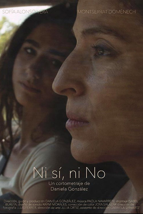 Movie poster for Ni sí, ni no (2017)