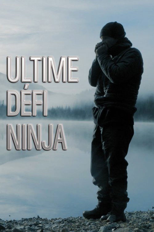 Ultimate Ninja Challenge poster