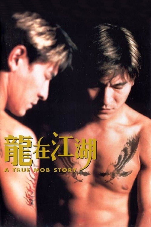 Movie poster for A True Mob Story (1998)