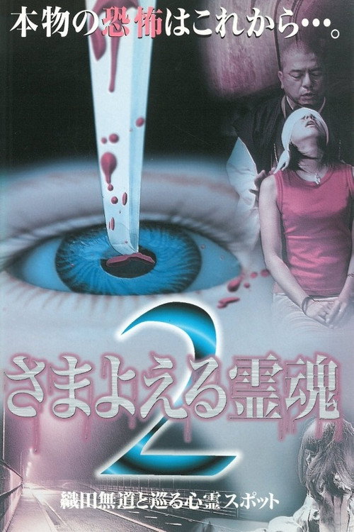 Movie poster for Wandering Souls 2: Exploring Haunted Spots with Oda Nobunaga (1999)