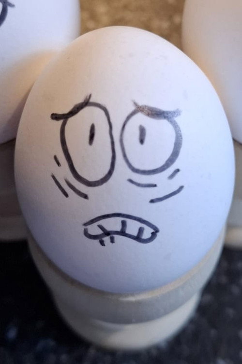 Photo of Eggson, Acting