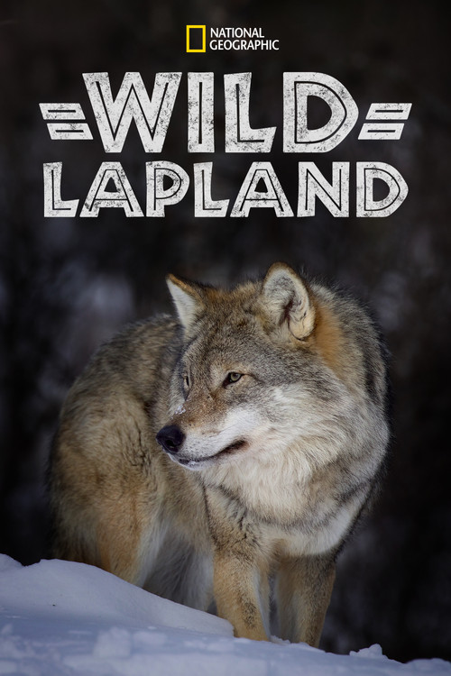 Movie poster for Wild Lapland (2020)