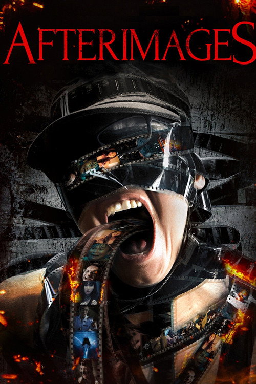 Movie poster for Afterimages (2014)