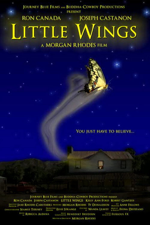 Movie poster for Little Wings (2007)