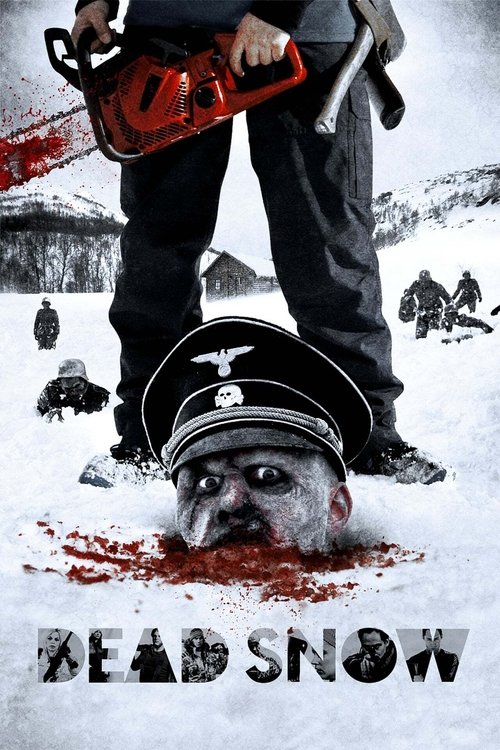 Movie poster for Dead Snow (2009)