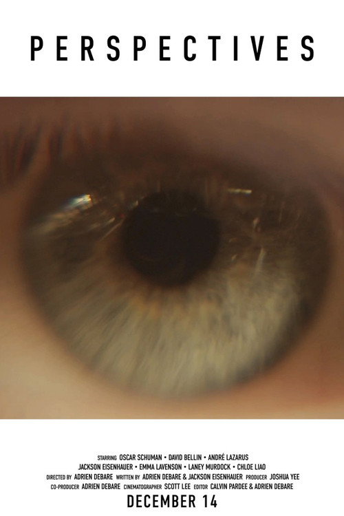 Movie poster for PERSPECTIVES (2023)