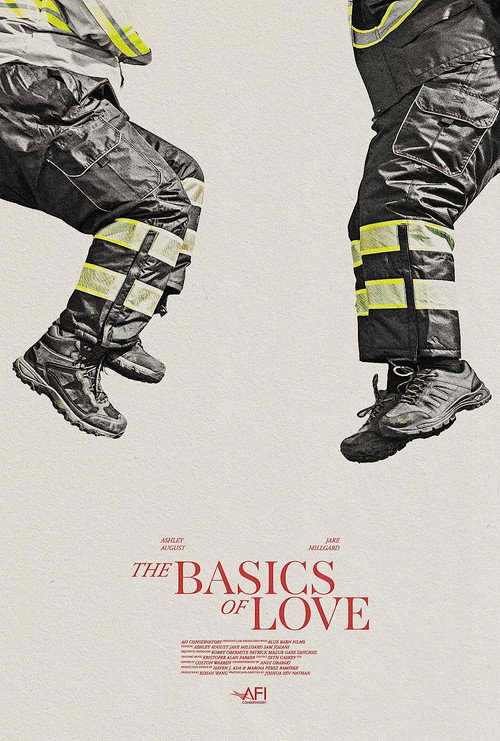 Movie poster for The Basics of Love