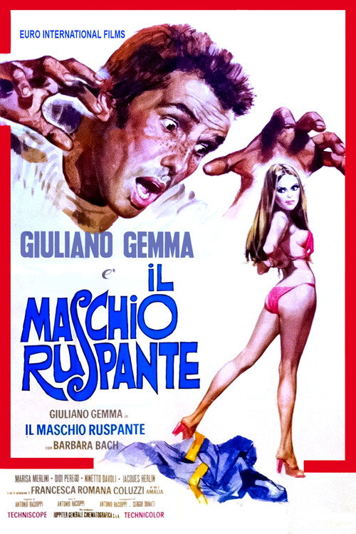 Movie poster for Il maschio ruspante (1973)