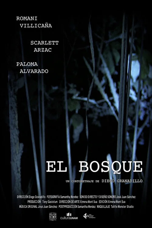 Movie poster for El Bosque (2019)