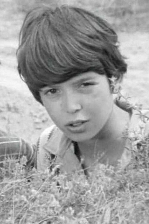 Gábor Losonci profile