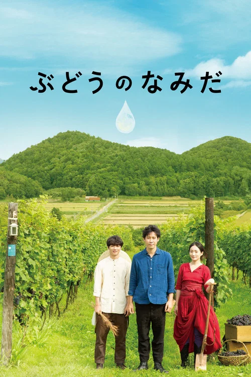 Movie poster for A Drop of the Grapevine (2014)