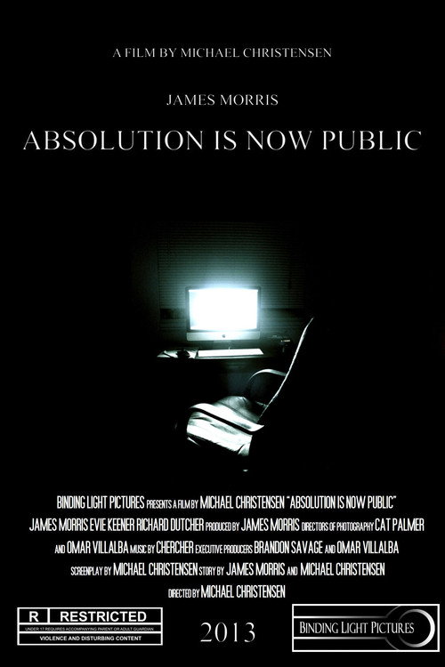 Movie poster for Absolution Is Now Public (2013)