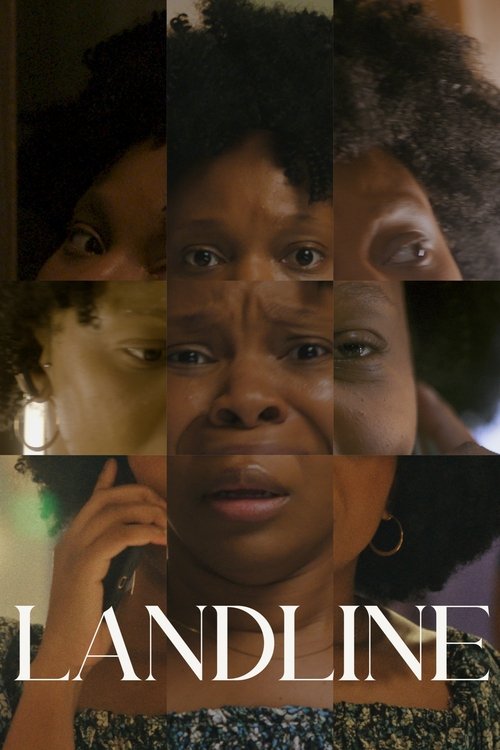 Movie poster for Landline (2025)